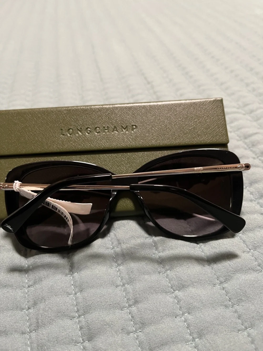 New Longchamp Women's Gradient Oversized Sunglasses